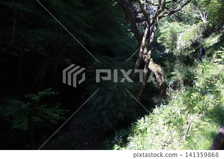Mount Takao, Trail No. 6, Biwa Falls Course Mount Takao, Trail No. 6, Biwa Falls Course 141359868