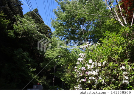 Mount Takao, Trail No. 6, Biwa Falls Course Mount Takao, Trail No. 6, Biwa Falls Course 141359869