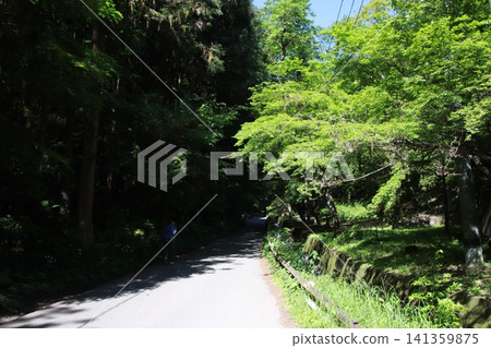 Mount Takao, Trail No. 6, Biwa Falls Course Mount Takao, Trail No. 6, Biwa Falls Course 141359875