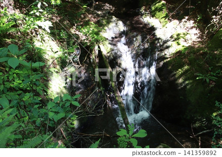 Mount Takao, Trail No. 6, Biwa Falls Course 141359892
