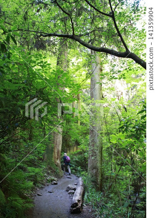 Mount Takao, Trail No. 6, Biwa Falls Course Mount Takao, Trail No. 6, Biwa Falls Course 141359904
