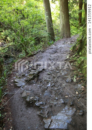 Mount Takao, Trail No. 6, Biwa Falls Course 141359912
