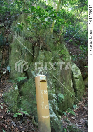 Mount Takao, Trail No. 6, Biwa Falls Course 141359913