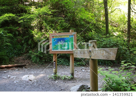 高尾山,6號步道,琵琶瀑布路線 高尾山,6號步道,琵琶瀑布路線 141359921