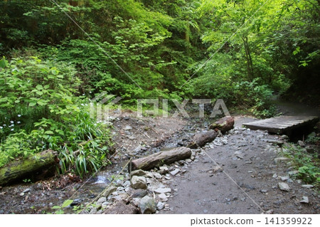 高尾山,6號步道,琵琶瀑布路線 高尾山,6號步道,琵琶瀑布路線 141359922