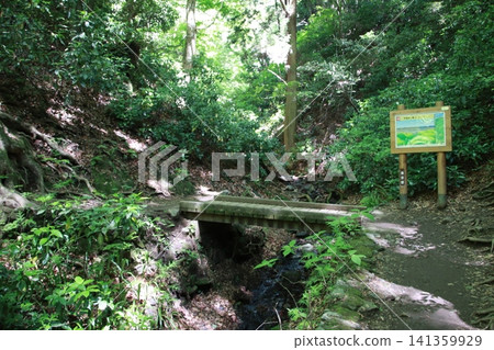Mount Takao, Trail No. 6, Biwa Falls Course Mount Takao, Trail No. 6, Biwa Falls Course 141359929