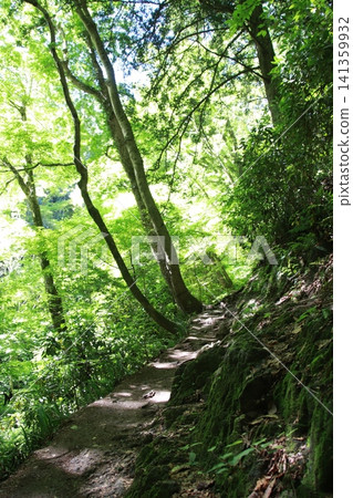 Mount Takao, Trail No. 6, Biwa Falls Course 141359932
