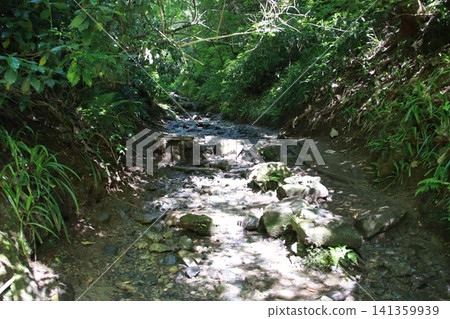 Mount Takao, Trail No. 6, Biwa Falls Course 141359939