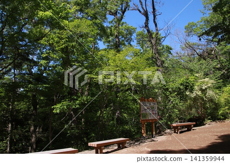 Mount Takao, Trail No. 6, Biwa Falls Course Mount Takao, Trail No. 6, Biwa Falls Course 141359944