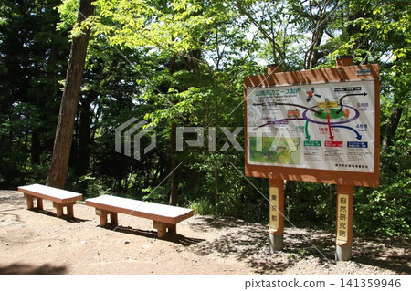 Mount Takao, Trail No. 6, Biwa Falls Course Mount Takao, Trail No. 6, Biwa Falls Course 141359946