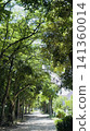 Early summer trail 141360014