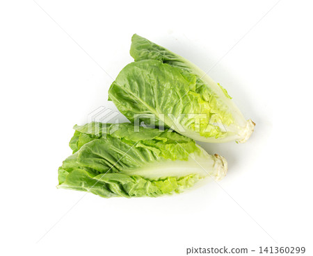 Two romaine lettuce salad isolated. Cos green leaves, fresh romain salat head, raw cabbage Two romaine lettuce salad isolated. Cos green leaves, fresh romain salat head, raw cabbage 141360299
