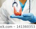 Hyperthyroidism, Overactive Thyroid, Thyroid Lymphoma, Asian doctor with thyroid gland human anatomy model in hospital. 141360353
