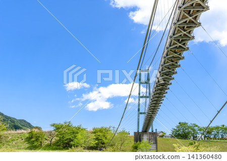 宮瀨湖濱公園初夏時節:一座懸索橋伸入藍天。 宮瀨湖濱公園初夏時節:一座懸索橋伸入藍天。 141360480