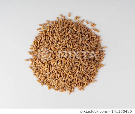 Wheat Grains Isolated, Barley Pile 141360490