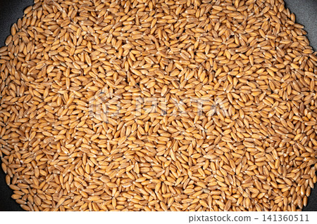 Wheat Grains Isolated, Barley Pile Wheat Grains Isolated, Barley Pile 141360511