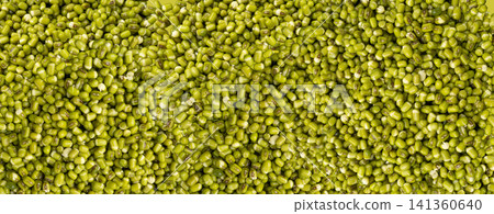 Soaked Mung Beans, Wet Vigna Radiata Seeds Pile, Macro Photo of Green Gram in Water Soaked Mung Beans, Wet Vigna Radiata Seeds Pile, Macro Photo of Green Gram in Water 141360640
