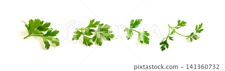 Fresh parsley leaf with water drops isolated Fresh parsley leaf with water drops isolated 141360732