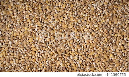 Pearl barley grains textured background Pearl barley grains textured background 141360753