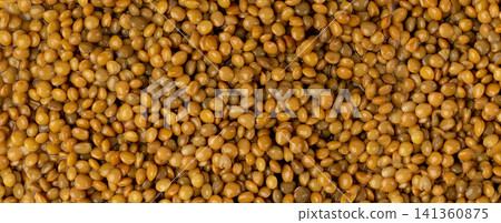 Cooked lentil, boiled green lentils 141360875