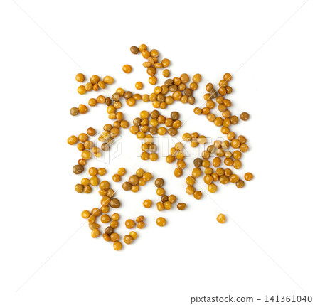 Cooked lentil, boiled green lentils Cooked lentil, boiled green lentils 141361040