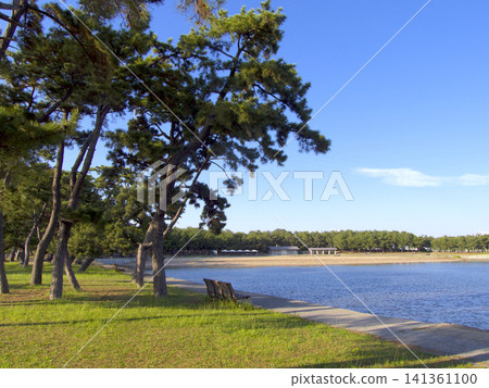 兵庫縣立高砂海濱公園/高砂向島台場(要塞)/日本百佳白沙松灘之一/土木工程遺產地 兵庫縣立高砂海濱公園/高砂向島台場(要塞)/日本百佳白沙松灘之一/土木工程遺產地 141361100