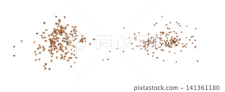 Grape seeds ready for oil extraction Grape seeds ready for oil extraction 141361180