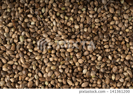 Hemp seeds pile texture background Hemp seeds pile texture background 141361200