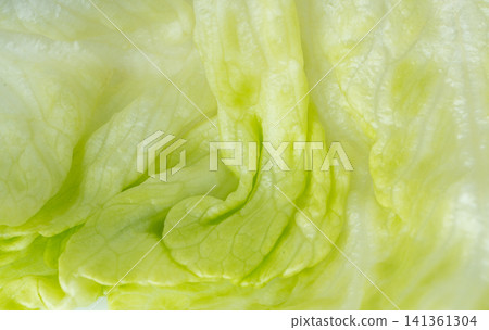 Iceberg lettuce salad macro texture Iceberg lettuce salad macro texture 141361304