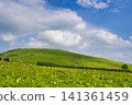 [Nagano Prefecture] Kirigamine Plateau in Summer 141361459