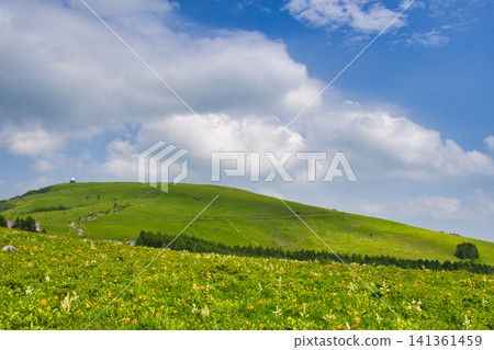 [Nagano Prefecture] Kirigamine Plateau in Summer 141361459