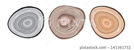Tree trunk cut texture, wood slice annual rings vector pattern 141361732