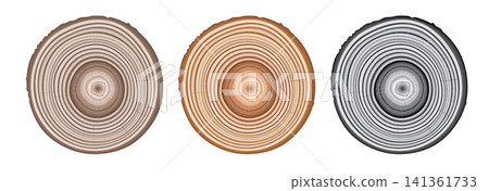 Tree trunk cut texture, wood slice annual rings vector pattern 141361733