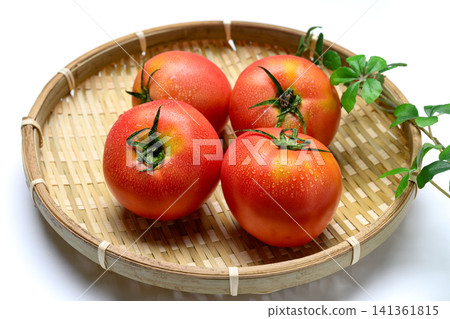 Fresh, perfectly ripe tomatoes glistening with water droplets. Fresh, perfectly ripe tomatoes glistening with water droplets. 141361815