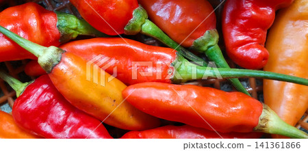 A top-down macro view showing a variety of colorful fresh chili peppers. A top-down macro view showing a variety of colorful fresh chili peppers. 141361866