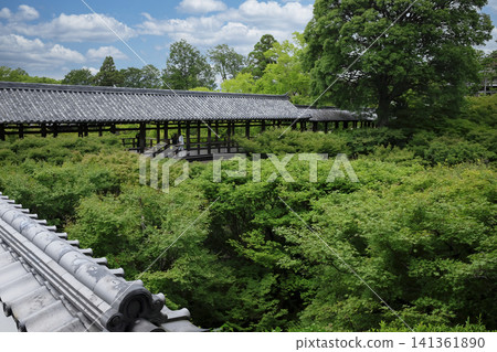Green Kyoto: A sea of green stretches out before the Tsutenkyo Bridge at Tofuku-ji Temple. Green Kyoto: A sea of green stretches out before the Tsutenkyo Bridge at Tofuku-ji Temple. 141361890