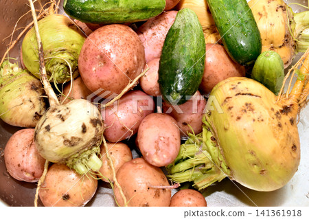A mix of fresh vegetables, including new potatoes, cucumbers and root vegetables. A mix of fresh vegetables, including new potatoes, cucumbers and root vegetables. 141361918
