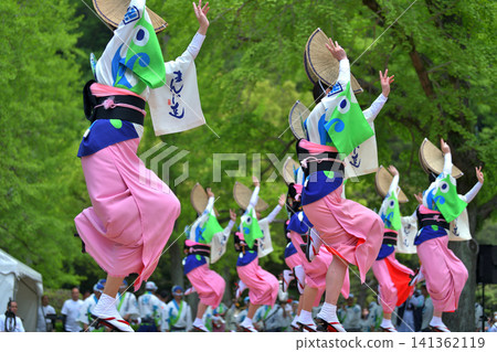 Awa Odori Spring Festival "Tokushima Castle Awa Odori" - Female Dancers from Famous Troupes Awa Odori Spring Festival "Tokushima Castle Awa Odori" - Female Dancers from Famous Troupes 141362119