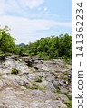 National Scenic Spot and Natural Monument: Iwatatami (Rock Formations) in Chichibu and Nagatoro 141362234