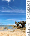 美麗的淺海岸和夏日的天空 141362805
