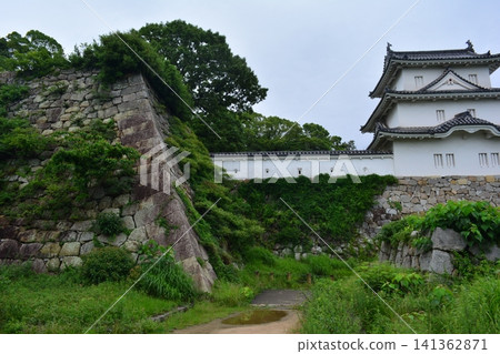 Akashi Castle 115: From the Kon-yagura (southwest turret) and Inari-kuruwa (Inari enclosure) Akashi Castle 115: From the Kon-yagura (southwest turret) and Inari-kuruwa (Inari enclosure) 141362871