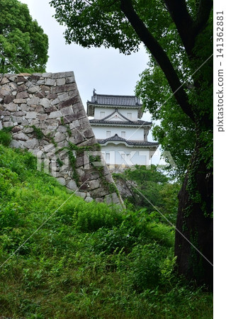 明石城105:金櫓(西南角樓) 明石城105:金櫓(西南角樓) 141362881