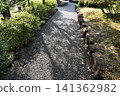 Beautiful green leaves and the historical buildings and designs of Japanese gardens 141362982