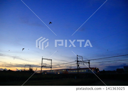 Swallows and trains after the capital city Swallows and trains after the capital city 141363025