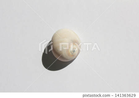 It is an empty barnacle shell. It is an empty barnacle shell. 141363629