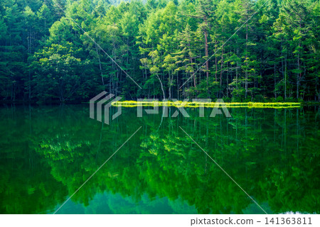 Deep green "Mishaka Pond" in summer season (Chino City, Nagano Prefecture) 141363811