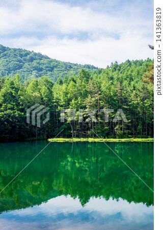 Deep green "Mishaka Pond" in summer season (Chino City, Nagano Prefecture) 141363819