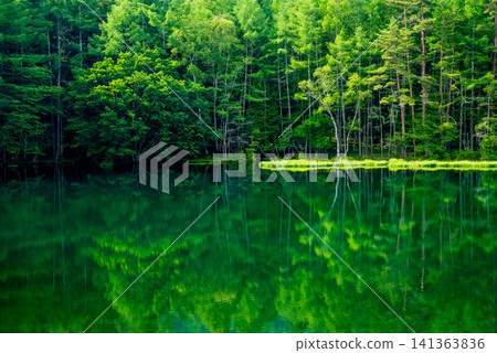 Deep green "Mishaka Pond" in summer season (Chino City, Nagano Prefecture) Deep green "Mishaka Pond" in summer season (Chino City, Nagano Prefecture) 141363836
