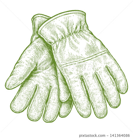 Gardening Gloves Vintage Engraved Farm Tool Hand Drawn Illustration Gardening Gloves Vintage Engraved Farm Tool Hand Drawn Illustration 141364086