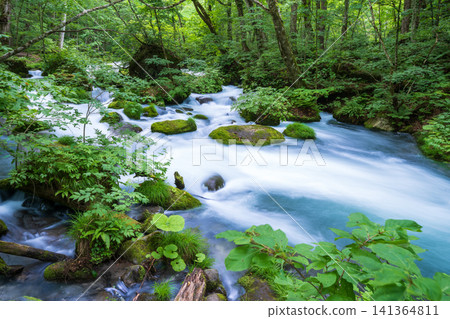 Aomori Prefecture: The breathtaking scenery of the Oirase Gorge in fresh greenery, Towada City 141364811